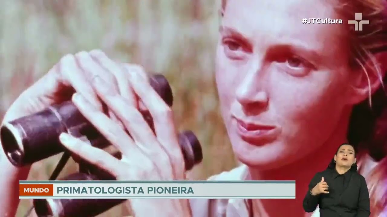 Jane Goodall cientista que revolucionou o estudo dos primatas morre aos 91