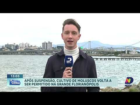 Moluscos são liberados para consumo e pesca após suspensão de 10 dias na Grande Florianópolis