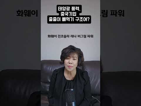 태양광, 풍력 <strong>중국기업</strong>, 줄줄이 빼먹기 구조여?