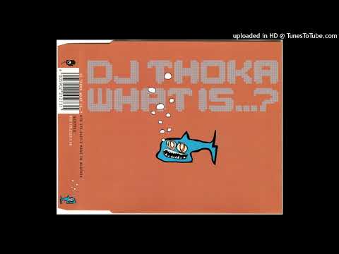 DJ Thoka - What Is...? (TB Attack Mix)