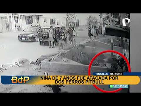Trujillo: niña de 7 años es atacada por dos perros