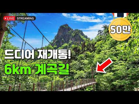전구간 압도적인 비경을 감상하며 걷는 6km <strong>계곡</strong> 트레킹 코스! 여름에도 걷기 참 좋아요. 👍 | 대중교통 당일치기 여행