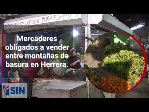 Mercaderes obligados a vender entre montañas de basura en Herrera.
