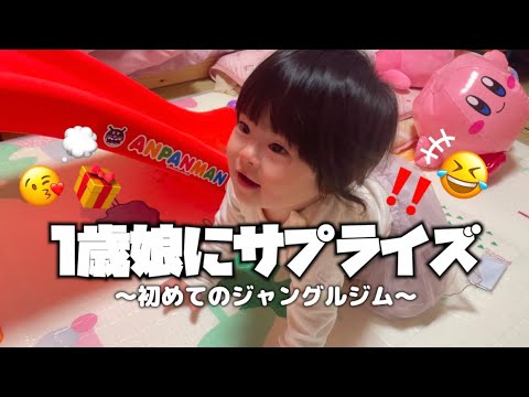 【サプライズ】娘に内緒でジャングルジム組み立てみた!!!なーたん👶の反応は？？？