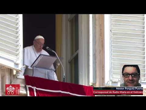 Papa Francisco habló  sobre la imagen de la semilla e insiste en la necesidad de paz en el mundo