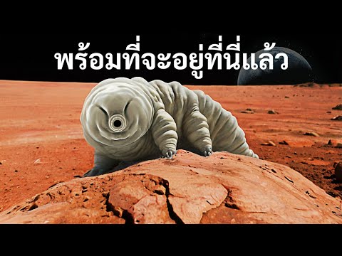 สิ่งมีชีวิตชนิดเดียวที่สามารถอ