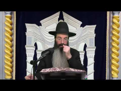 הרב נתנאל אביסרור פסח על פי החסידות