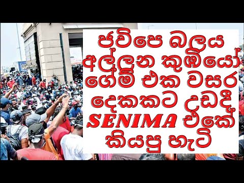 ජවිපෙ බලය අල්ලන කුඹියෝ ගේම් එක වසර දෙකකට උඩදී SENIMA එකේ කියපු හැටි (Craziest Economist In Srilanka)