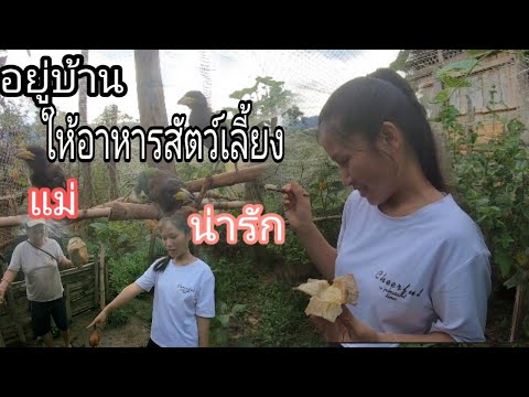 กิจกรรมประจำวันช่วงเวลาอยู่บ้า กิจกรรมประจำวันช่วงเวลาอยู่บ้า