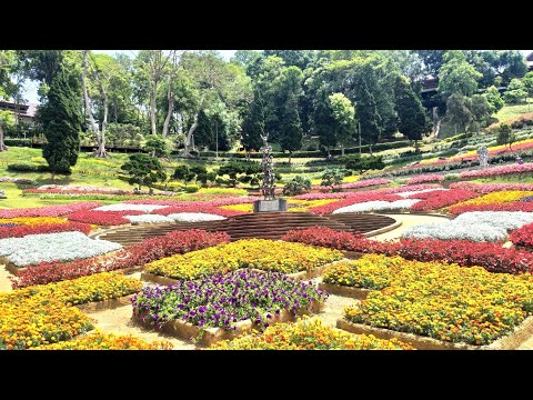 เที่ยวดอยตุง-สวนแม่ฟ้าหลวง-จัง เที่ยวดอยตุง-สวนแม่ฟ้าหลวง-จัง