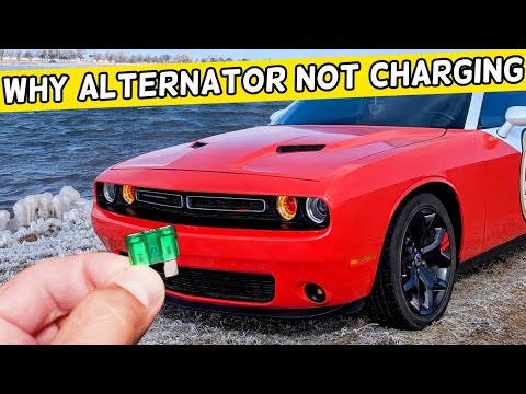 Why Alternator Does Not Charge, Dead Battery On Dodge Challenger