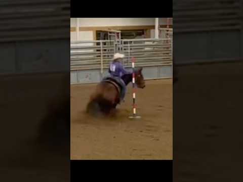 Would’ve been a 20.9 #blowup #polebending #polehorse #rodeolife #rodeohorse #barrelhorse #fyp #❤️