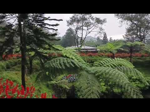 Jalan-jalan ke GOLAGA Purbalingga #fyp #liburanakhirpekan #hujanturun #goanews