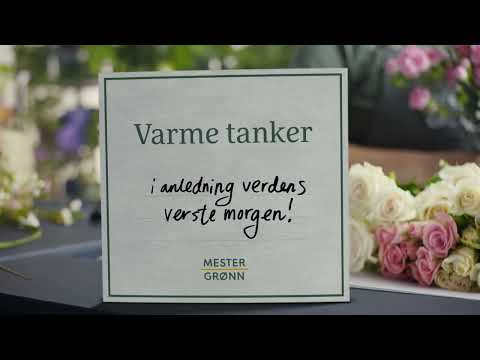 Varme tanker i anledning verdens verste morgen - Alltid fast lavpris