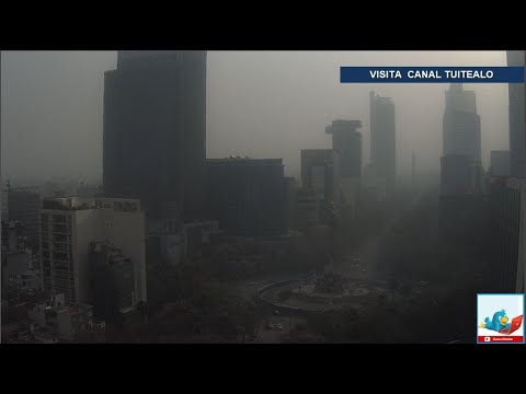 Tolvanera en la CDMX fuertes vientos tiran arboles y dejan daños