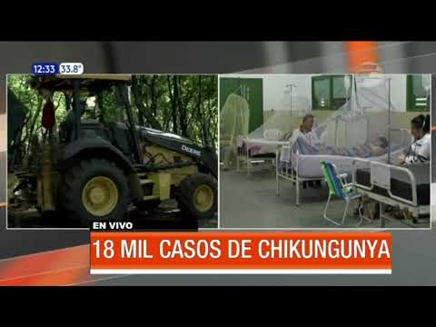 Preocupa el avance de Chikungunya en el país