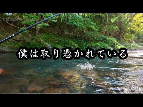 【渓流】何故だ！ここでも僕はあの魚に好かれている…