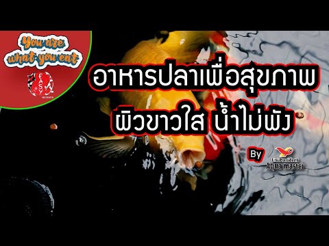 You-Are-What-You-Eat-:-อาหารปล You-Are-What-You-Eat-:-อาหารปล