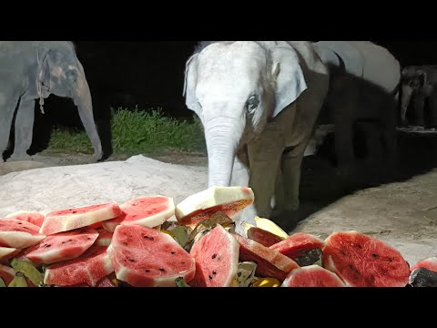 สุขสันต์วันเกิดน้องวินชิขอให