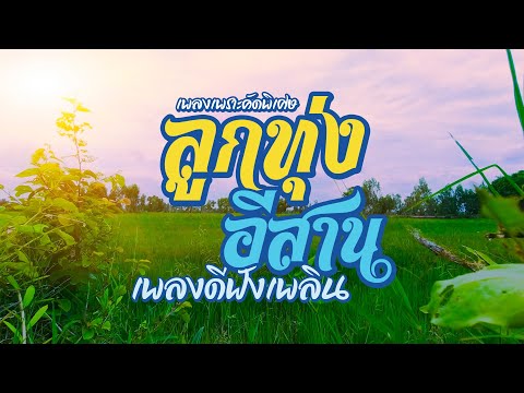 เพลงเพราะคัดพิเศษลูกทุ่งอีสาน