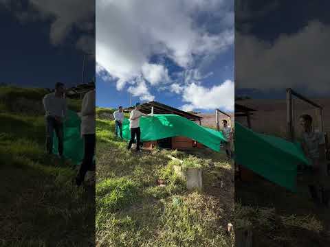 ¡Me encontré a estos creadores de videos que se graban en el campo! 🌾