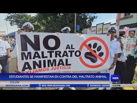 Estudiantes se manifiestan en contra del maltrato animal en Colo?n