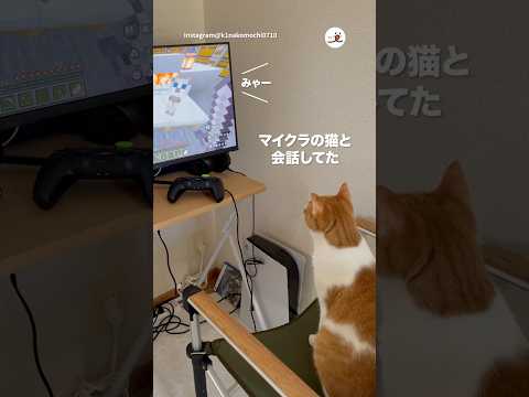 猫と飼い主のかわいい会話を楽しもう！ サムネイル