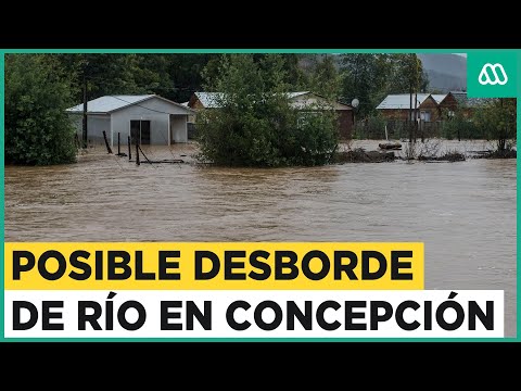 Peligro por posible desborde de río en Concepción