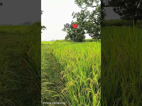 kisan video🌾 #kheti #desi #viral #villagelife #trendingreels #short