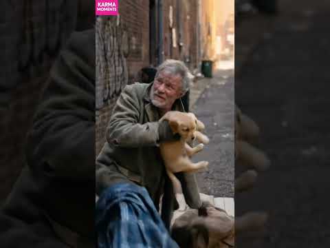 Karma 🐶 Homeless Man's Instant Fortune #karma #homeless #shorts