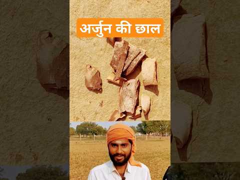 🕉️ जिंदगी में हार्ट अटैक नहीं होगा #हार्टअटैक #शॉर्ट्स