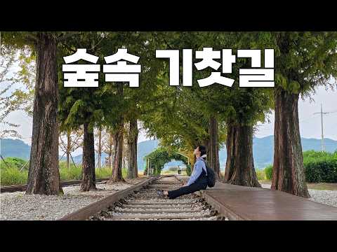 공짜 KTX <strong>타고</strong> 숨겨진 기찻길 명소 가봤습니다