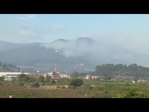 El incendio de Montitxelvo (Valencia) obliga a suspender las clases en seis municipios