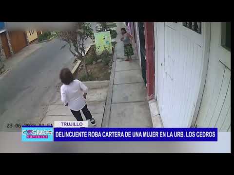 Trujillo: Delincuente roba cartera de una mujer en la urb. Los cedros