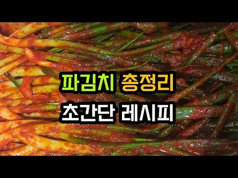 파김치 레시피 총정리/요렇게만 담그세요! 너무 간단해요!