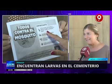 Dengue: encuentran larvas en el cementerio