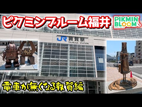 【ピクミンブルーム】ピクミンブルーム福井！電車が無くなる敦賀編【Pikmin Bloom】