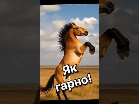 Ці коні символ епохи! Одні на грані вимирання! #коні #коніпржевальського #тварини #animals #horse
