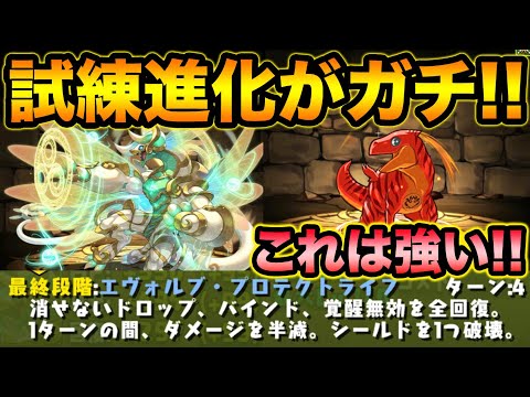 最新の試練進化がガチすぎる【スー☆パズドラ】