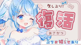 【 朝活 / 雑談 】久しぶりの配信で少し緊張気味！少しお話しよっ！【 白樺るるは / Vtuber】