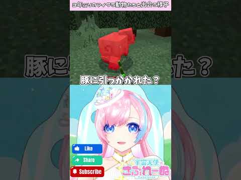thumbnail_A4BcO6hBq6E