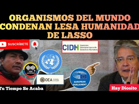 ORGANISMOS INTERNACIONALES RECH4Z4N ACTUACIÓN DE LASSO EN PR0T3.ST4 ECUADOR GOBIERNO APUR0S RFE