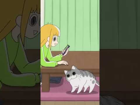 猫の動画サムネイル - キュルちゃんとのおしゃべり