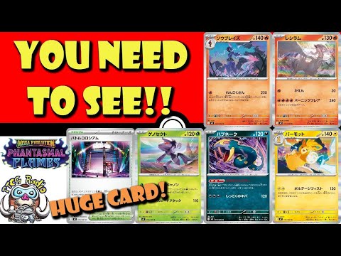 Pokemon TCG News