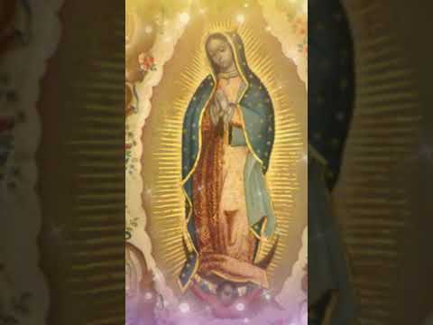 ? ¿Qué protege la Virgen de Guadalupe?