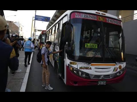 ¿Qué pasará con los buses del transporte público que reemplazaron al Corredor Morado?