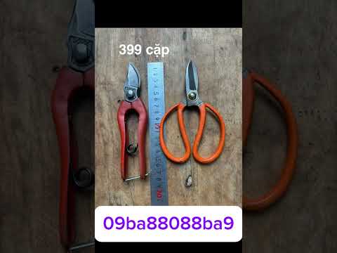 Giao lưu chia sẽ cùng ae đam mê nghệ thuật tạo tác bonsai #bonsai #bonsaitools #tools #bonsaiart