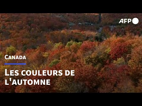 Au Québec, l'automne haut en couleurs | AFP