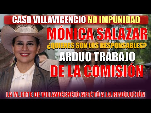 Escándalo Político Sacude la Nación: Comisión Revela Verdad Detrás del As3sin4 to de Villavicencio