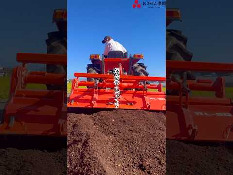 【いちご栽培】🚜親株の土づくりをしました!🍓